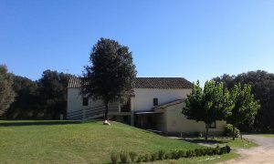 can-freu-colonies-robotica-innovat-educacio